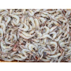 중하새우 1/2상자(7.5kg)