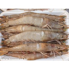 자연산 대하새우(一名 왕새우) 1kg(14마리 전후)