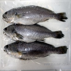 신안산 반건조 민어 (40cm~45cm) 3마리