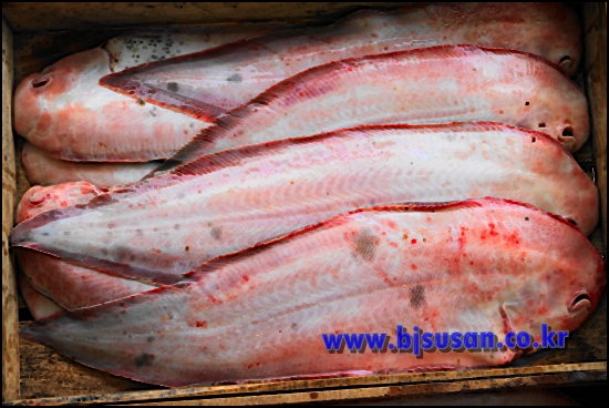 신안産 생물 서대  1상자 15마리(40cm전후)