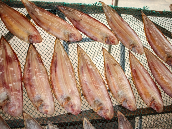 반건조 서대 40cm전후 3마리