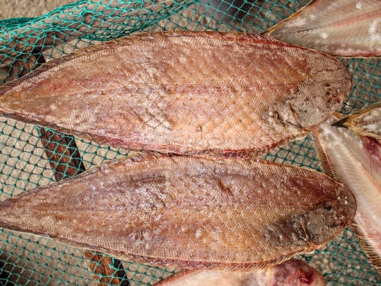 반건조 서대 40cm전후 3마리