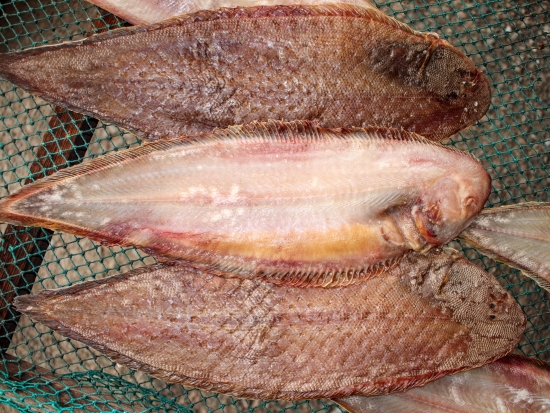 반건조 서대 40cm전후 3마리