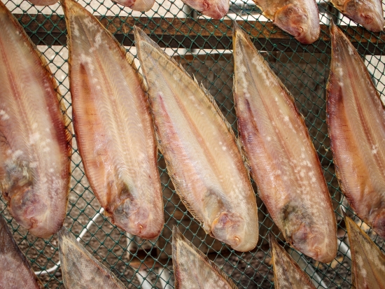 반건조 서대 40cm전후 3마리