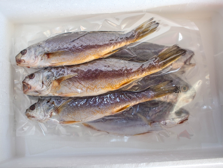 반건조 수조기(30~35cm급) 3마리 1팩