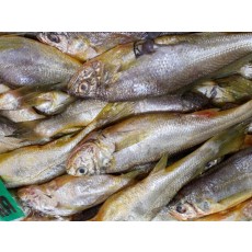 생물 파 참조기 1박스 9kg