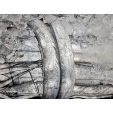 목포 먹갈치 中大(몸통폭 6cm~6.5cm) 1/2상자 25마리