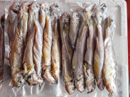 반건조 파 참조기