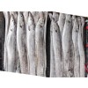 목포 먹갈치 特大(몸통폭 7~8cm) 10마리